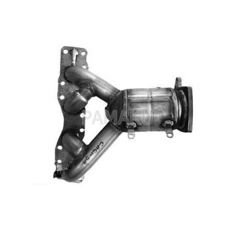 Catalyseur pour Suzuki...